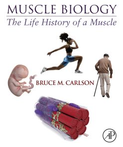 Muscle Biology: The Life History Of A Muscle (EPUB)