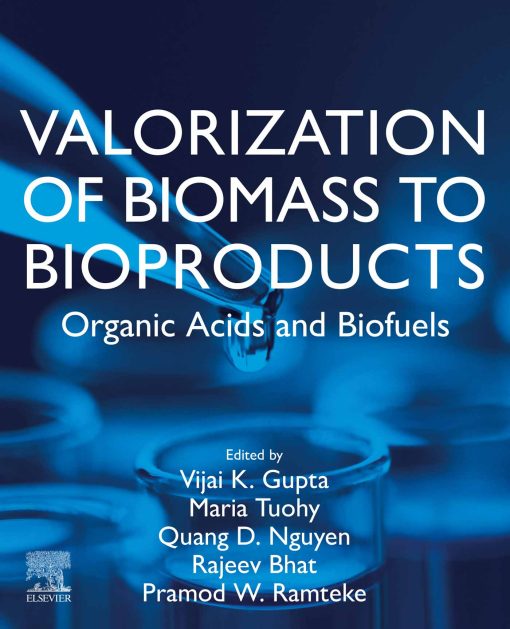 Valorization Of Biomass To Bioproducts: Organic Acids And Biofuels (EPUB)