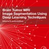 Brain Tumor MRI Image Segmentation Using Deep Learning Techniques (EPUB)