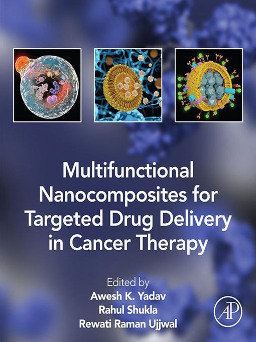 Multifunctional Nanocomposites For Targeted Drug Delivery In Cancer Therapy (EPUB)