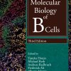 Molecular Biology Of B Cells, 3rd Edition (EPUB)