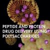 Peptide And Protein Drug Delivery Using Polysaccharides (EPUB)