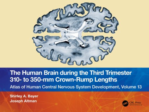 The Human Brain During The Third Trimester 310– To 350–Mm Crown-Rump Lengths: Atlas Of Central Nervous System Development, Volume 13 (EPUB)