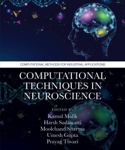 Computational Techniques In Neuroscience (EPUB)