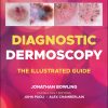 Diagnostics And Therapy In Veterinary Dermatology (EPUB)