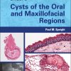 Shear’s Cysts Of The Oral And Maxillofacial Regions, 5th Edition (EPUB)