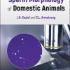 Sperm Morphology Of Domestic Animals (EPUB)