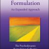 Psychodynamic Formulation: An Expanded Approach, 2nd Edition (PDF)