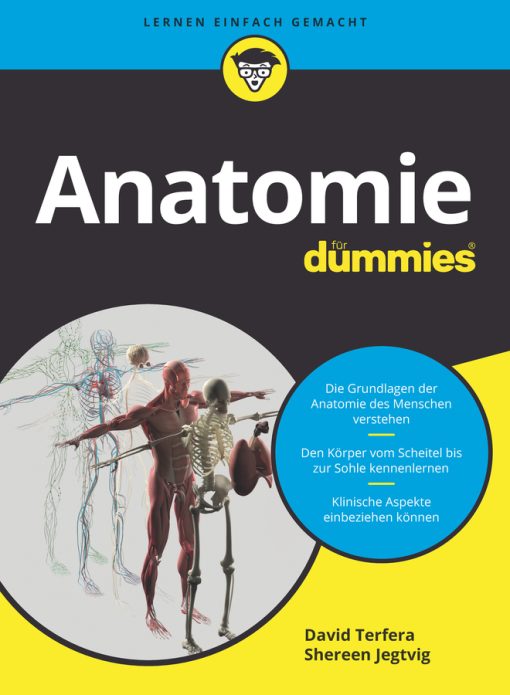 Anatomie Für Dummies (EPUB)