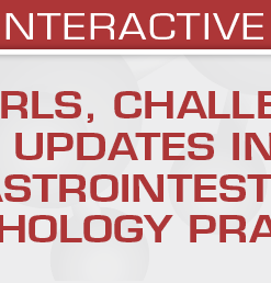 Pearls, Challenges and Updates in Daily Gastrointestinal Pathology Practice 2024