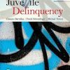 Juvenile Delinquency, 10th Edition  (PDF)