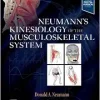 Neumann’s Kinesiology Of The Musculoskeletal System, 4th Edition (EPUB)