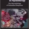 Clinical Intuition In Psychotherapy: The Neurobiology Of Embodied Response (Norton Series On Interpersonal Neurobiology) (EPUB)