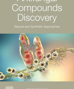 Antifungal Compounds Discovery: Natural And Synthetic Approaches (EPUB)