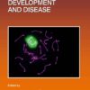 Meiosis In Development And Disease, Volume 151 (EPUB)