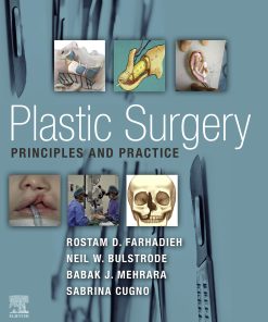 Plastic Surgery – Principles And Practice (EPUB)