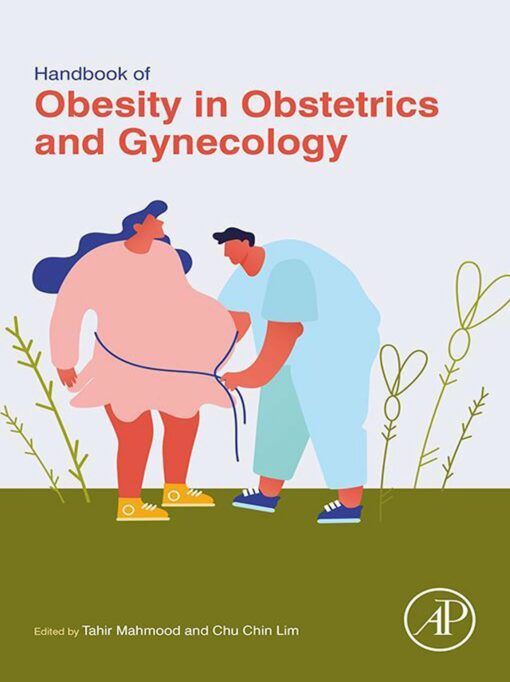 Handbook Of Obesity In Obstetrics And Gynecology (EPUB)