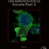 The Immunological Synapse Part A, Volume 173 (EPUB)