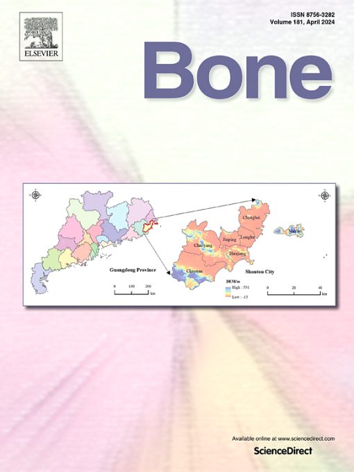 Bone PDF