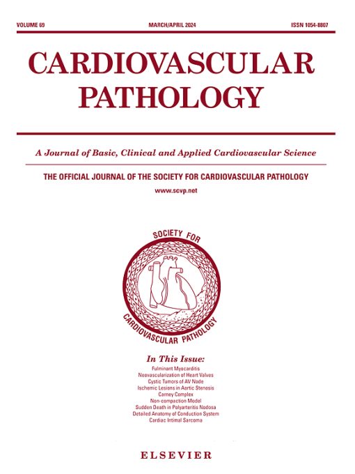 Cardiovascular Pathology PDF