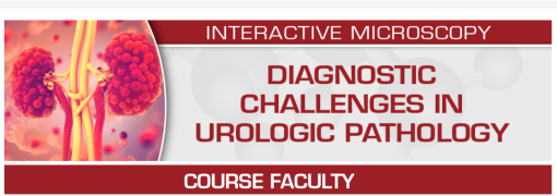 Diagnostic Challenges in Urologic Pathology 2024