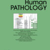 Human Pathology PDF