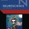 Neuroscience Volume 537