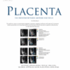 Placenta PDF