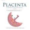 Placenta PDF