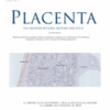 Placenta PDF