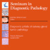 Seminars in Diagnostic Pathology PDF