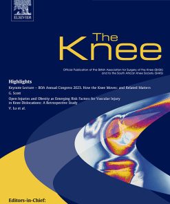 The Knee PDF