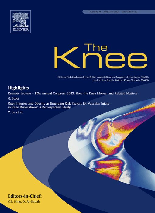 The Knee PDF