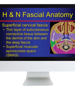 The Suprahyoid Neck: Pathology Through Anatomy