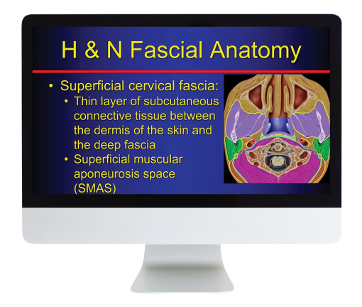 The Suprahyoid Neck: Pathology Through Anatomy