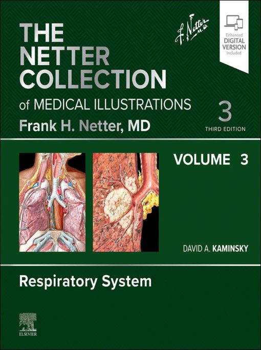 The Netter Collection Of Medical Illustrations: Respiratory System, Volume 3, 3rd Edition (EPUB)