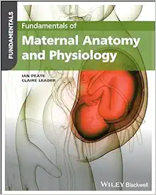 Fundamentals Of Maternal Anatomy And Physiology (PDF)