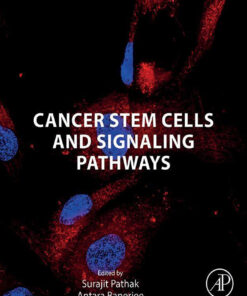 Cancer Stem Cells And Signaling Pathways (PDF)