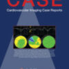 CASE PDF