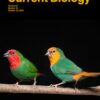 Current Biology: Volume 32 (Issue 1 to Issue 24) 2022 PDF