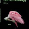 Current Biology: Volume 32 (Issue 1 to Issue 24) 2022 PDF