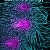 Current Biology: Volume 34 (Issue 1 to Issue 7) 2024 PDF