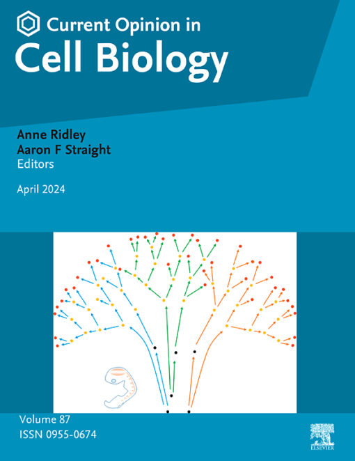 Current Opinion in Cell Biology PDF