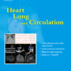 Heart, Lung and Circulation PDF