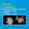 Heart, Lung and Circulation PDF