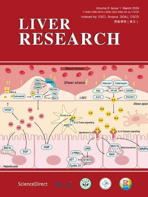 Liver Research: Volume 8, Issue 1 2024 PDF