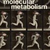 Molecular Metabolism PDF