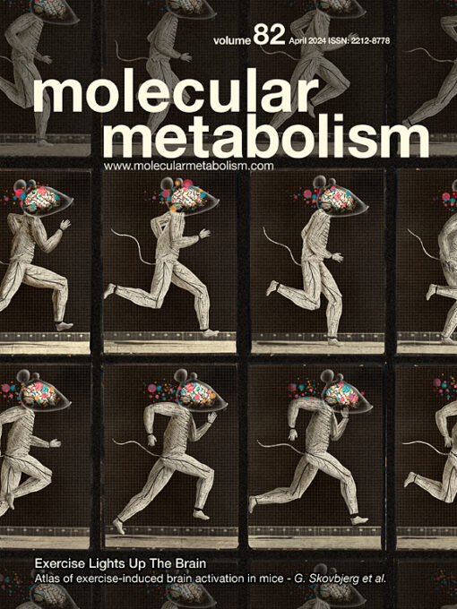 Molecular Metabolism PDF