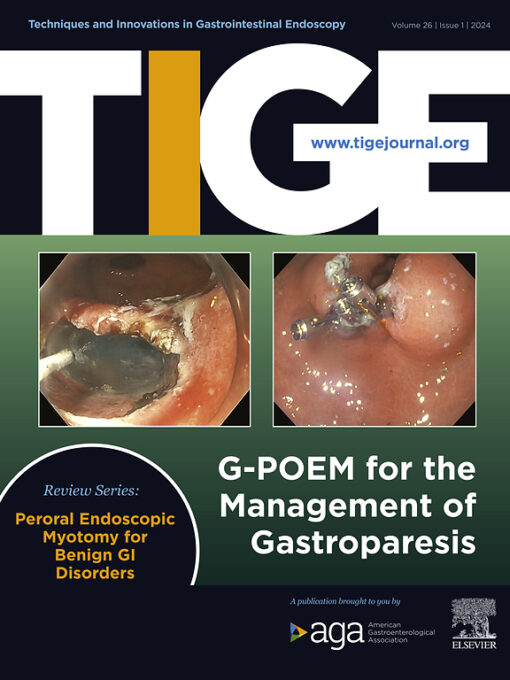 Techniques and Innovations in Gastrointestinal Endoscopy PDF