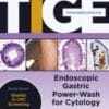 Techniques and Innovations in Gastrointestinal Endoscopy PDF